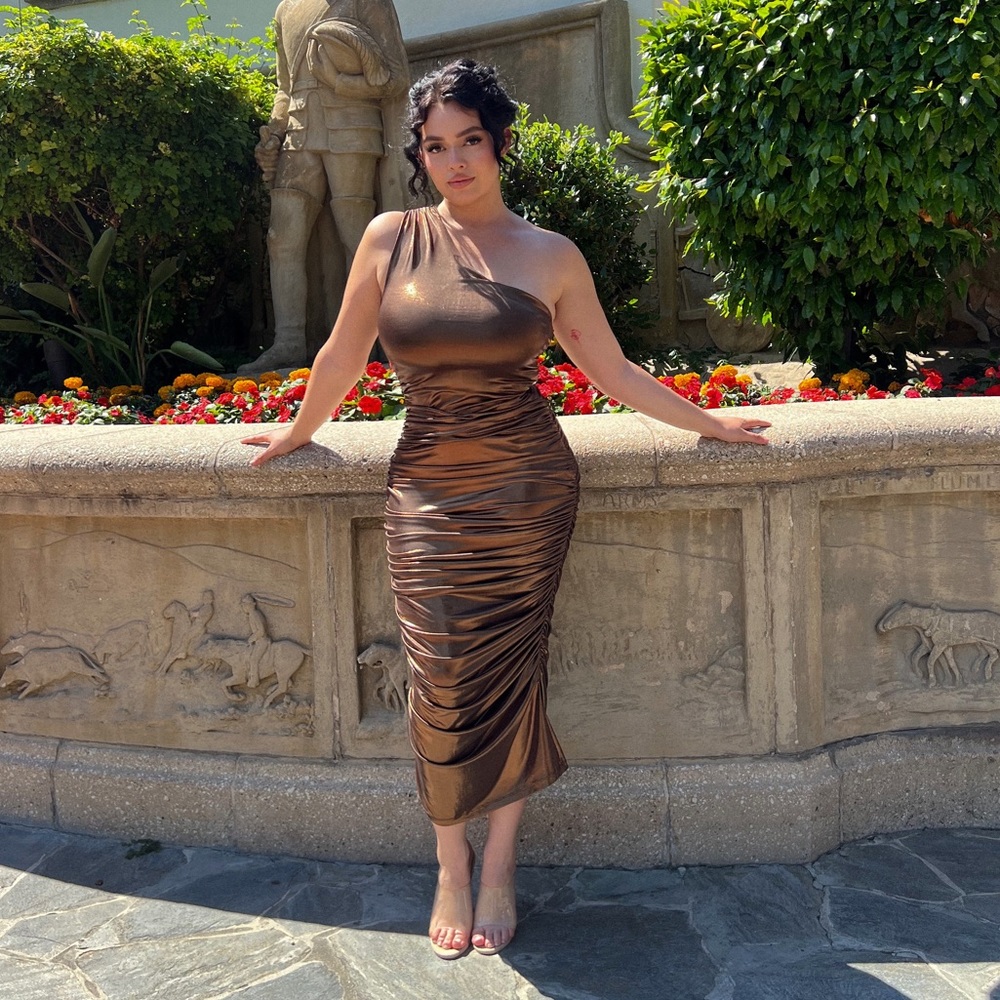Beautiful Bronze Dress